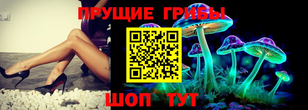 Псилоцибиновые грибы Psilocybine cubensis  Вход с VPN  Верхняя Салда 